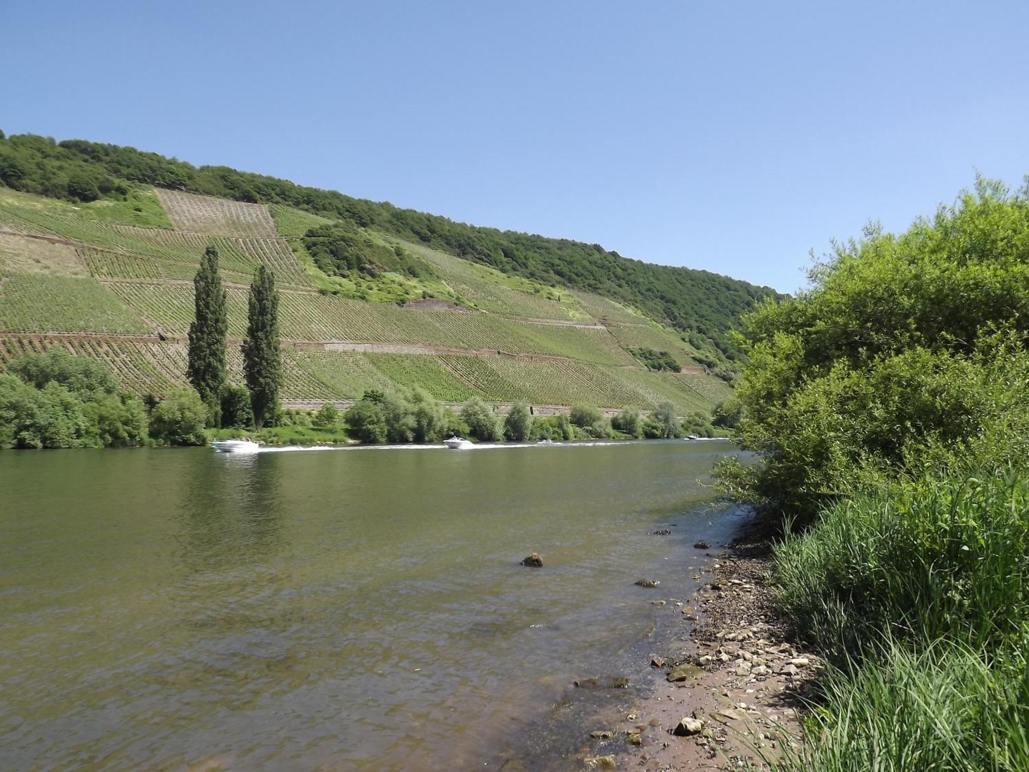 Ferienweingut Winnebeck Köwerich Quarto foto