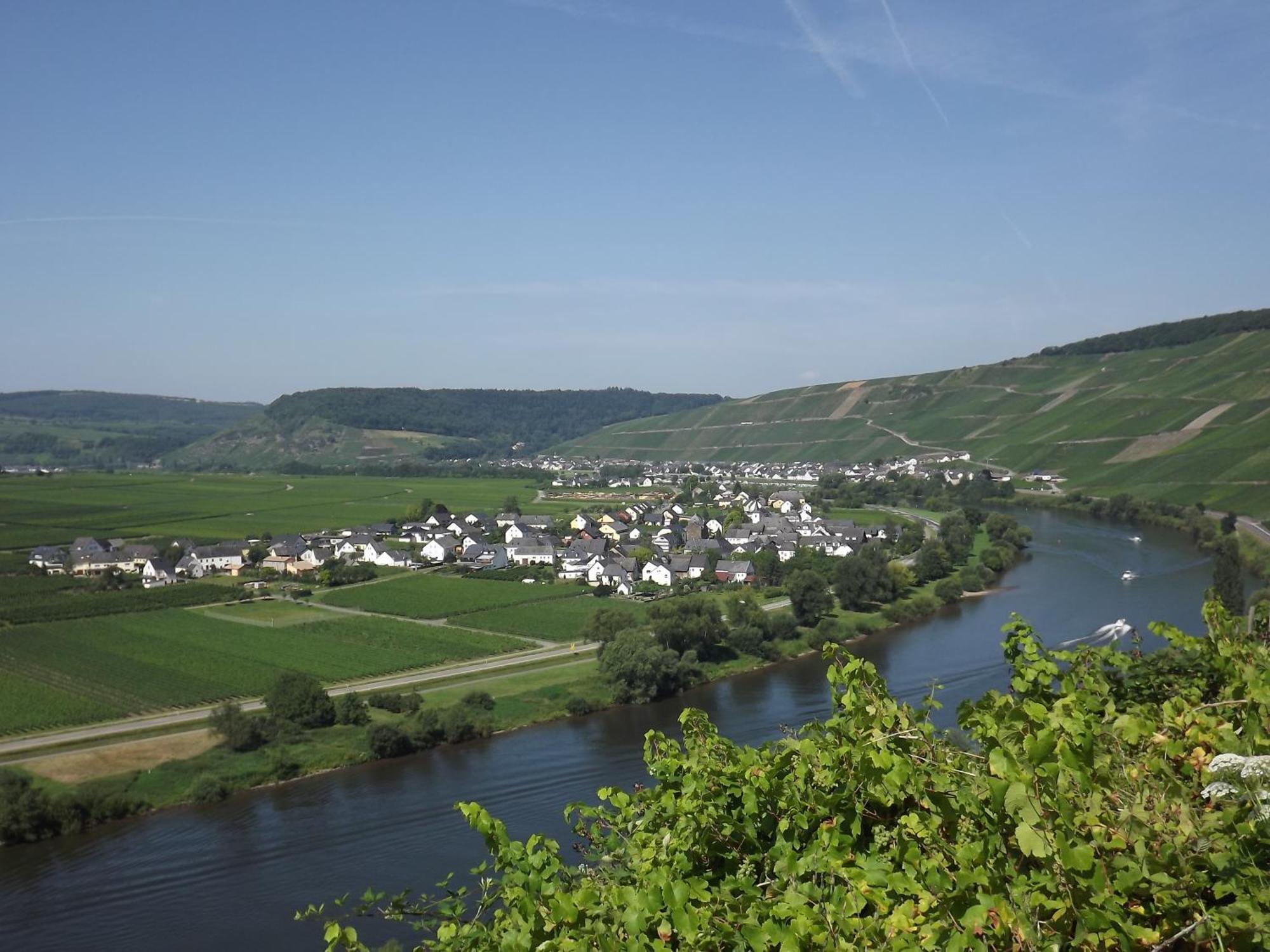 Ferienweingut Winnebeck Köwerich Quarto foto